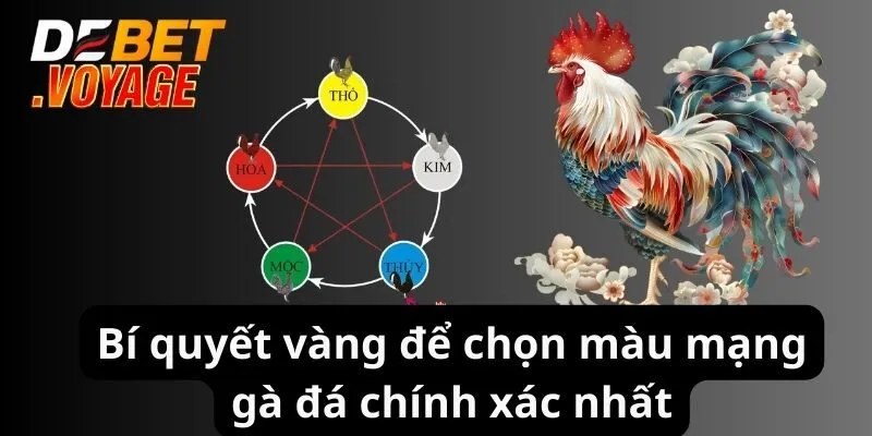 Màu Mạng Gà - DEBET Chia Sẻ Bí Quyết Xem Chuẩn Nhất 2024 3 Bí quyết vàng để chọn màu mạng gà đá chính xác nhất