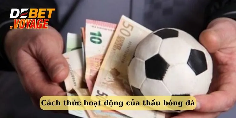 Cách thức hoạt động của thầu cá độ bóng đá