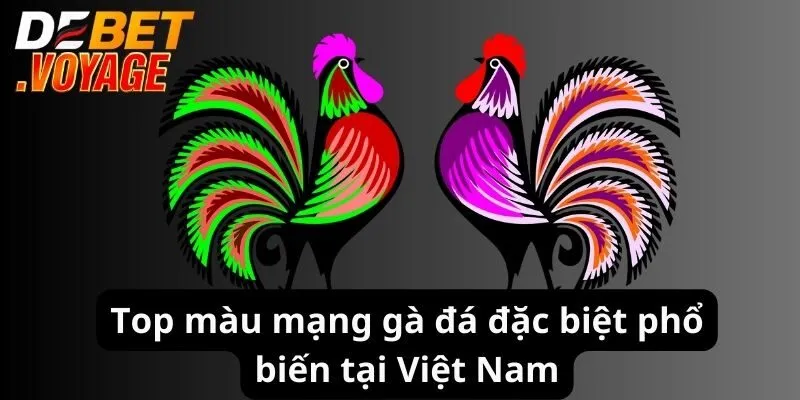 Màu Mạng Gà - DEBET Chia Sẻ Bí Quyết Xem Chuẩn Nhất 2024 2 Top màu mạng gà đá đặc biệt phổ biến tại Việt Nam