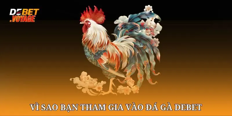 Đá gà chọi DEBET - Nơi Mang Đến Những Trận Đấu Gà Thật Nhất 2 Vì sao bạn tham gia vào Đá gà chọi DEBET?